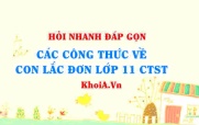 Các công thức về con lắc đơn lớp 11 Chân trời sáng tạo?